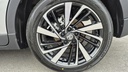 Hexon import image 21